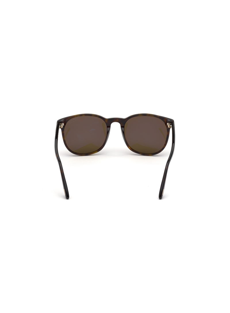 TOM FORD TOMFORD FULL RIM FT085852H53 MEN ROUND ACETATE SUNGLASSES - Image 4